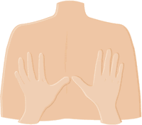 背中のイラスト