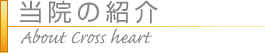 当院の紹介::Profile of Cross Heart Omiya