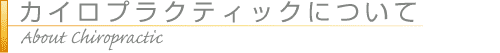 カイロプラクティックについて::About Chiropractic